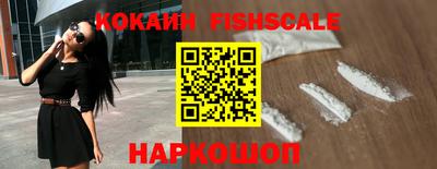 СК Дубна