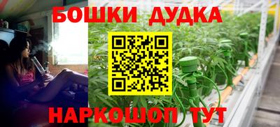 СК Дубна