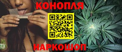 СК Дубна