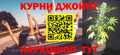 СК Дубна